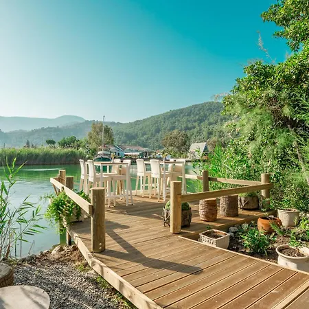 - Special Category Отель