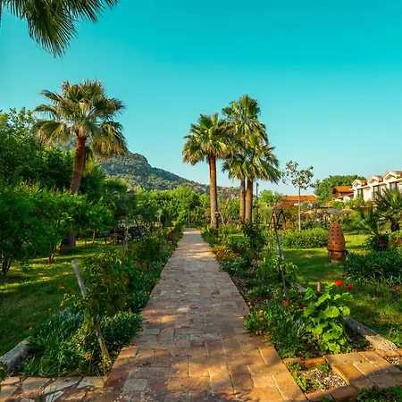 - Special Category 4*