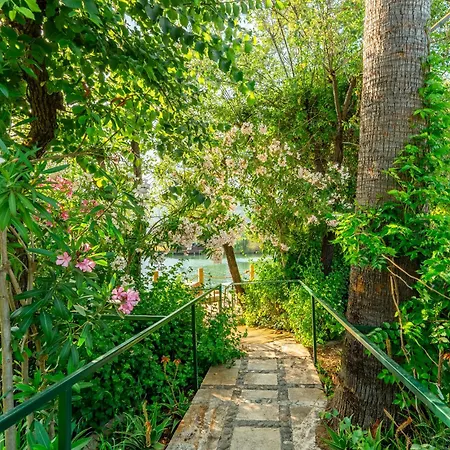 - Special Category 4*