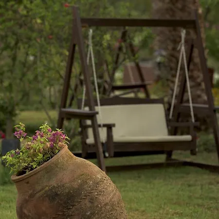 - فئة خاصة فندق