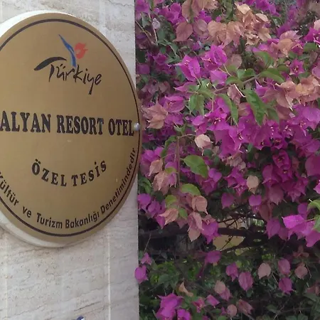 - Special Category Дальян