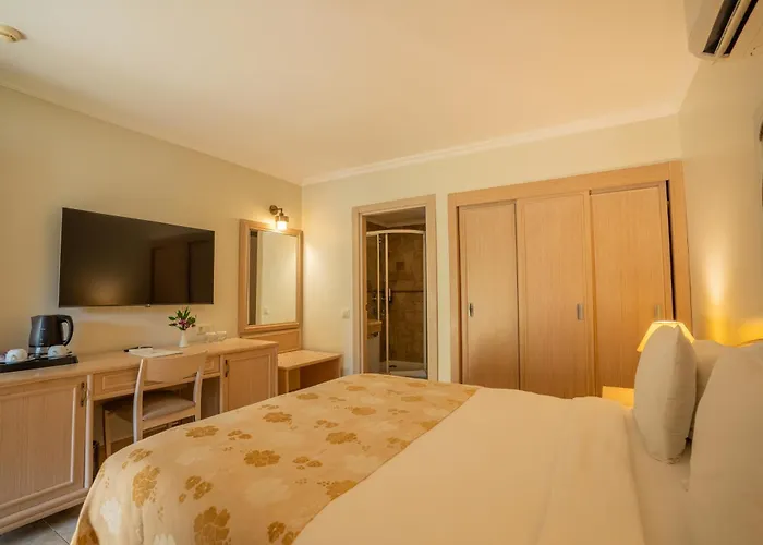 Hotel - Special Category 4*