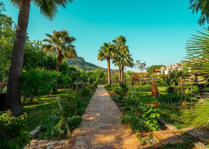 达利安度假酒店 - 特殊类别 4*