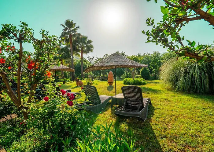 - Special Category Dalyan