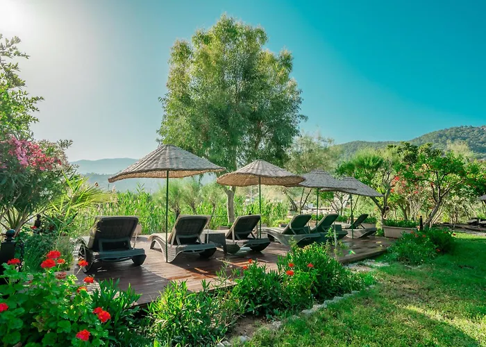 - Special Category 4* Dalyan