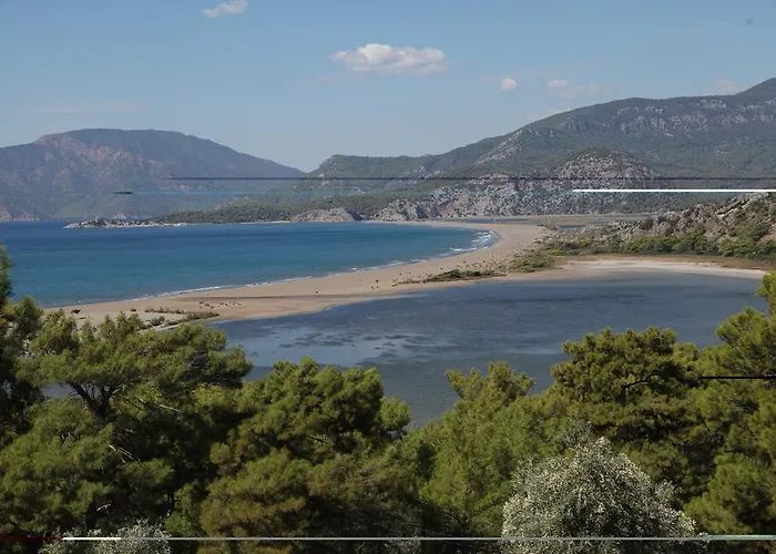 Szálloda - Special Category