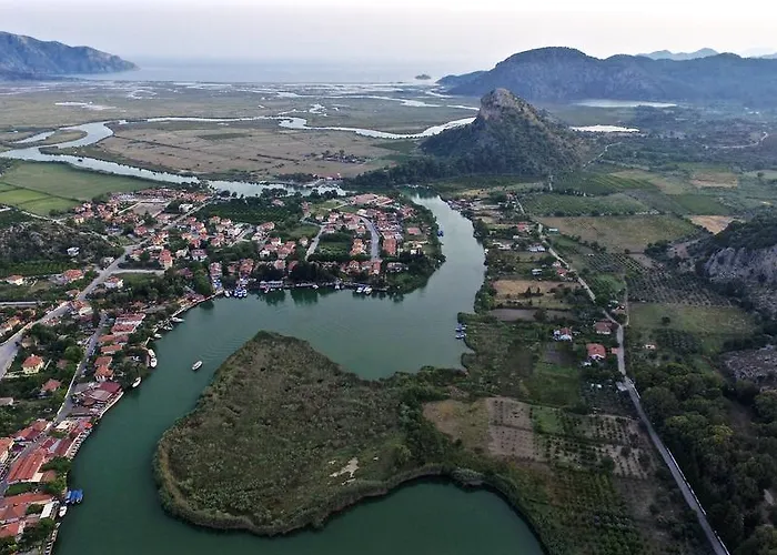 达利安度假酒店 - 特殊类别