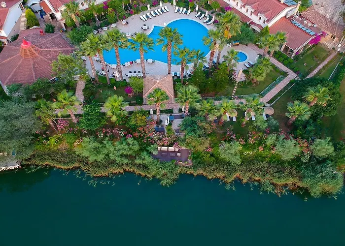 Szálloda - Special Category