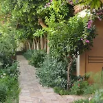 - Special Category מלון דליאן