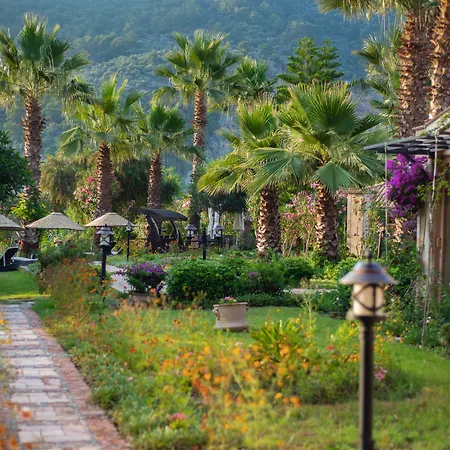 - Special Category 호텔 달리안