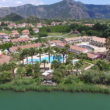 - Special Category 호텔 4*