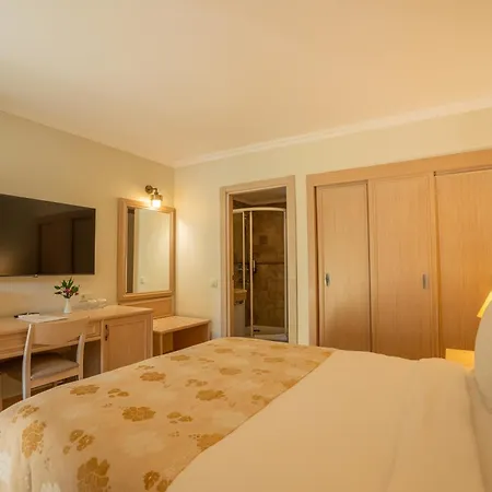 호텔 - Special Category 4*