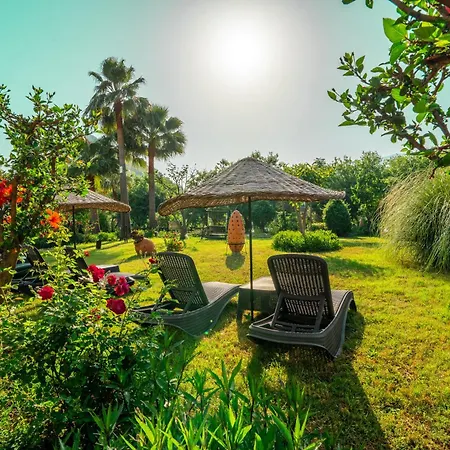 - Special Category 달리안