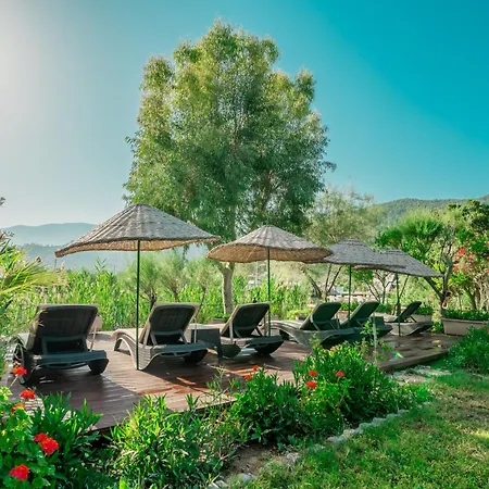 - Special Category 4* Dalyan