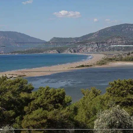 호텔 - Special Category