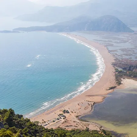 호텔 - Special Category 4*