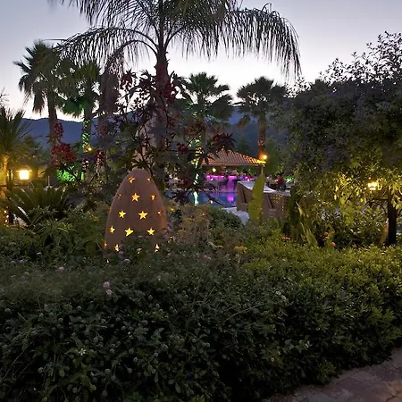 - Special Category 달리안