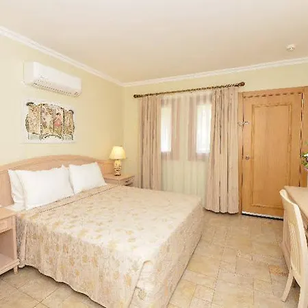 - Special Category דליאן