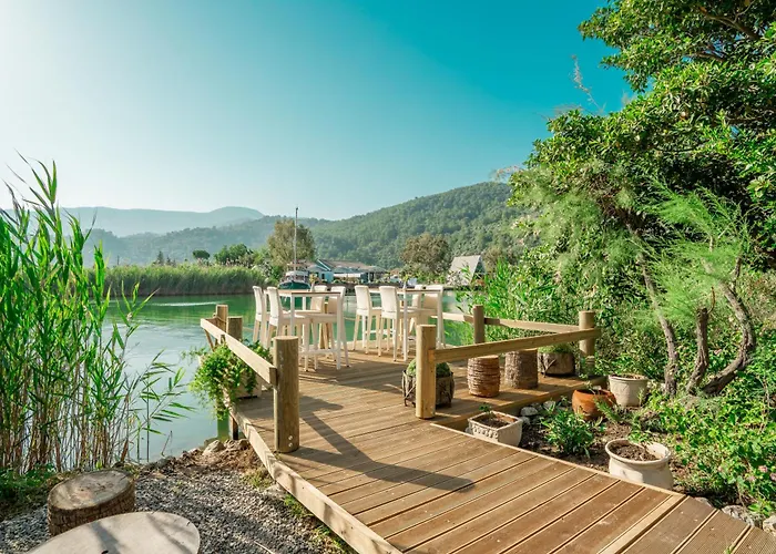 - Special Category Hotel