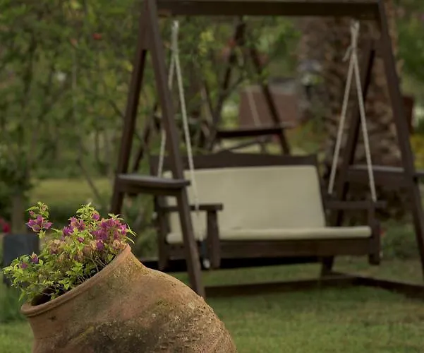 - Special Category Hotel