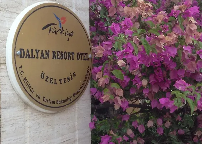 - Special Category Dalyan