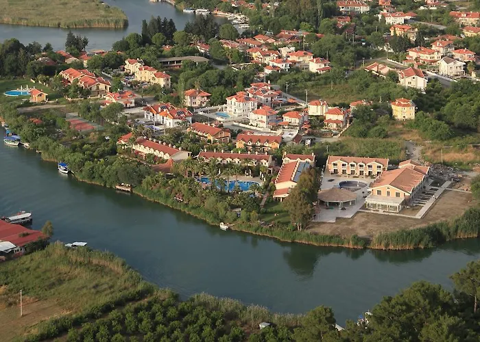 - Special Category 4*